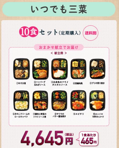 三菜10食セット