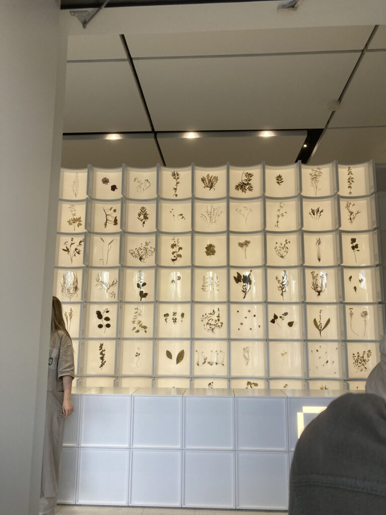 バルト諸国02