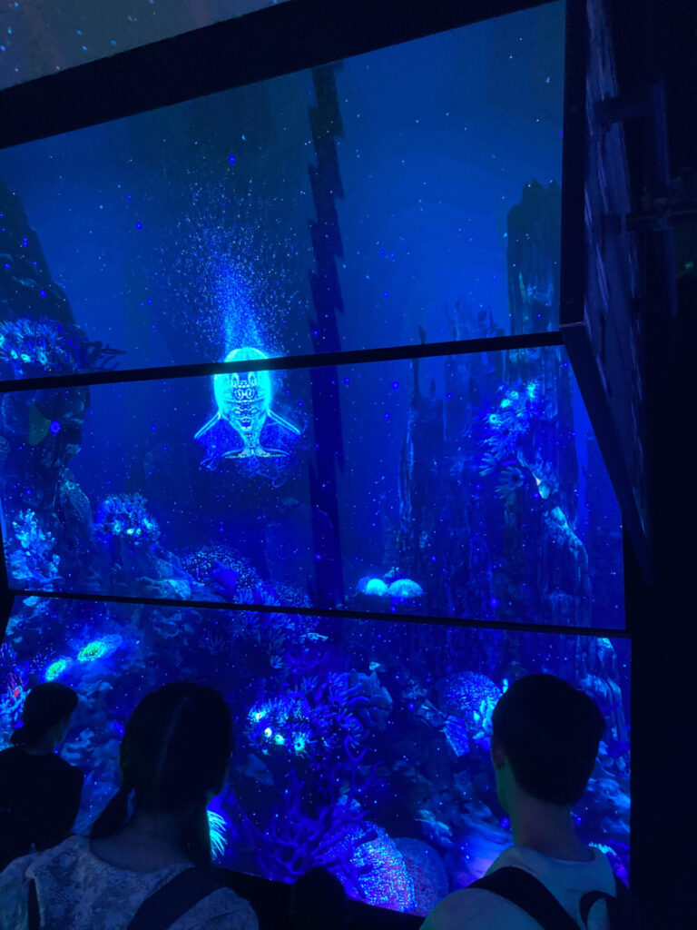 オーストラリア08