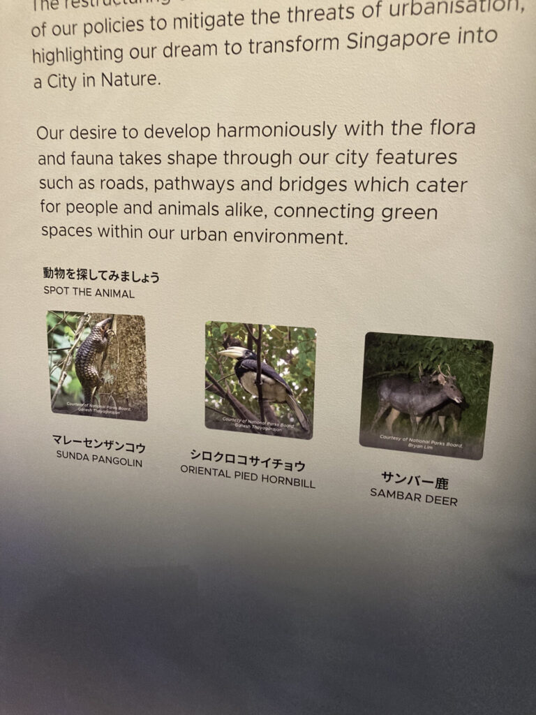 シンガポール05