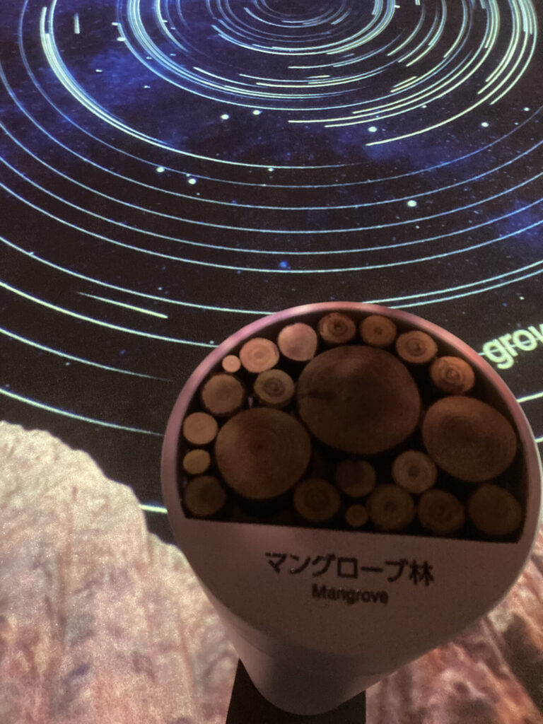 コロンビア05