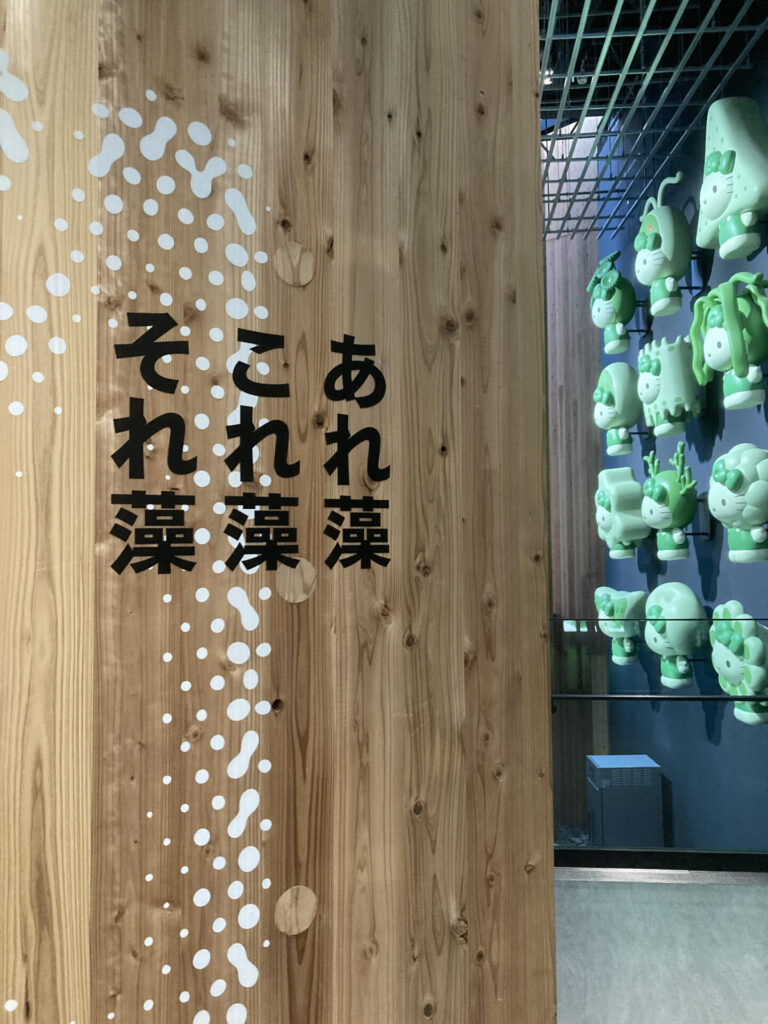 日本館13