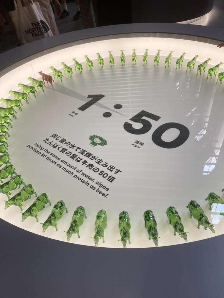 日本館16