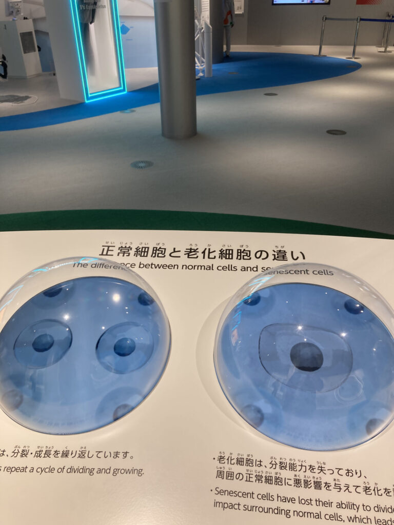 大阪ヘルスケア18