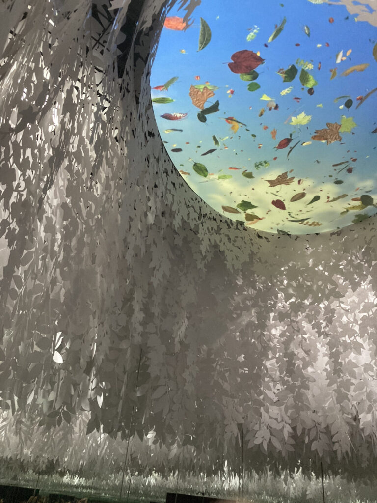 住友12