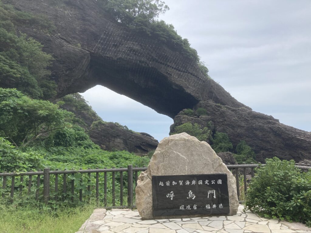 福井サテライト33