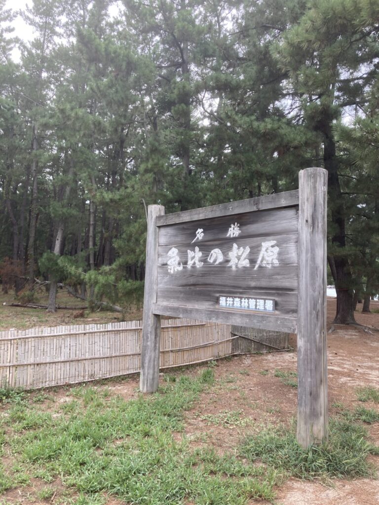 福井サテライト35