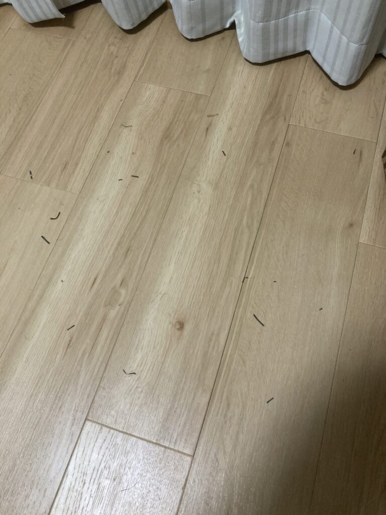 クリスマスツリー09